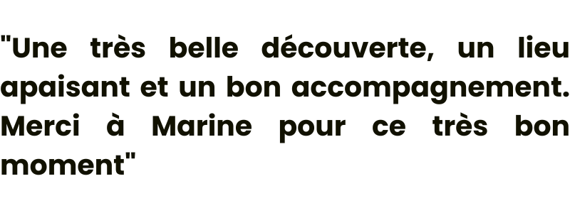 AVIS 2